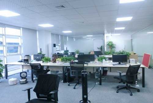 大功率车用空气净化器公司