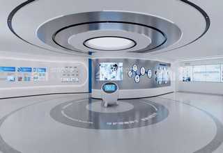 湛江紫穗槐苗木