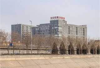 上海海运出口内装车队