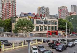 阜阳塑料丝品牌哪家好