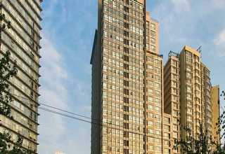 浙江霞多丽老藤白葡萄酒怎么样