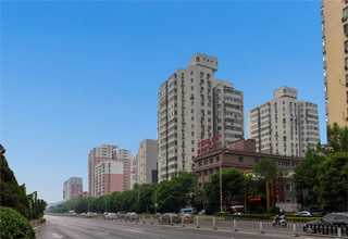 山东室内绿墙施工养护