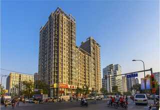 和平区技术钢管货源充足